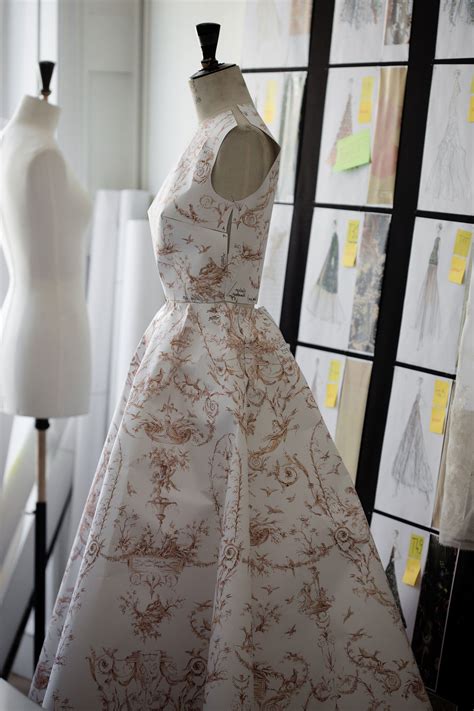 dior toile de jouy dress 1954|abc dior toile de jouy.